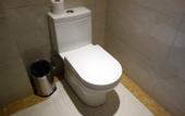 Туры в отель Manhattan Hotel (Shanghai Minhang)