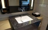 Туры в отель Manhattan Hotel (Shanghai Minhang)