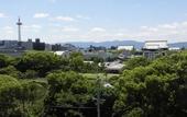 Туры в отель Hotel IL Verde Kyoto