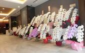 Туры в отель Hotel IL Verde Kyoto