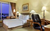 Туры в отель Hilton Green Plaza