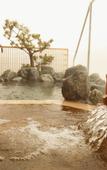 Туры в отель Hida Hanasatonoyu Takayama Ouan