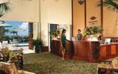Туры в отель Hilton Hawaiian Village