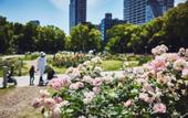 Туры в отель voco Osaka Central by IHG