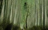 Туры в отель Hotel tou nishinotoin kyoto