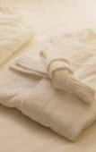 Туры в отель THE HOTEL SANRAKU KANAZAWA