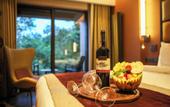 Туры в отель Sile Gonen Hotel