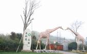 Туры в отель Giraffe Manor Hotel