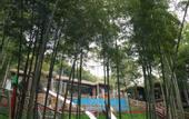Туры в отель Giraffe Manor Hotel