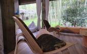 Туры в отель Giraffe Manor Hotel