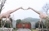 Туры в отель Giraffe Manor Hotel