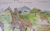 Туры в отель Giraffe Manor Hotel