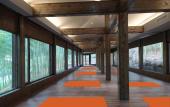 Туры в отель Giraffe Manor Hotel