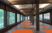 Туры в отель Giraffe Manor Hotel