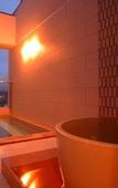 Туры в отель Spa Hotel Alpina Hidatakayama