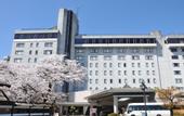 Туры в отель Hida Takayama Onsen Takayama Green Hotel (KEIO GROUP HOTELS)