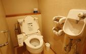 Туры в отель Hida Takayama Onsen Takayama Green Hotel (KEIO GROUP HOTELS)