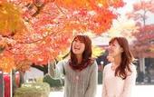 Туры в отель Hida Takayama Onsen Takayama Green Hotel (KEIO GROUP HOTELS)