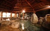 Туры в отель Hida Takayama Onsen Takayama Green Hotel (KEIO GROUP HOTELS)