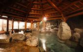 Туры в отель Hida Takayama Onsen Takayama Green Hotel (KEIO GROUP HOTELS)