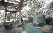 Туры в отель Hida Takayama Onsen Takayama Green Hotel (KEIO GROUP HOTELS)