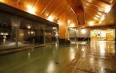 Туры в отель Hida Takayama Onsen Takayama Green Hotel (KEIO GROUP HOTELS)