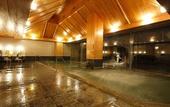 Туры в отель Hida Takayama Onsen Takayama Green Hotel (KEIO GROUP HOTELS)