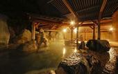 Туры в отель Hida Takayama Onsen Takayama Green Hotel (KEIO GROUP HOTELS)