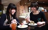 Туры в отель Hida Takayama Onsen Takayama Green Hotel (KEIO GROUP HOTELS)
