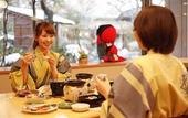 Туры в отель Hida Takayama Onsen Takayama Green Hotel (KEIO GROUP HOTELS)