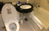 Туры в отель Hotel Metropolitan Nagano