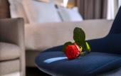 Туры в отель Radisson Blu Hotel, Rouen Centre