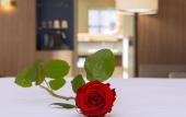Туры в отель Radisson Blu Hotel, Rouen Centre