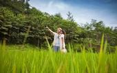 Туры в отель Le Eminence Hotel Convention & Resort Ciloto - Puncak