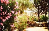 Туры в отель Hotel La Casa Rossa & Spa