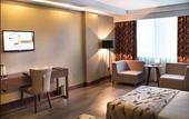 Туры в отель Ramada Plaza by Wyndham Samsun