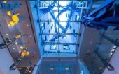 Туры в отель Hotel Aqua by HappyCulture