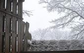 Туры в отель Negiya Ryofukaku