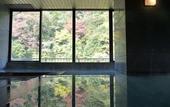 Туры в отель Hakone Pax Yoshino
