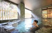 Туры в отель Hakone Pax Yoshino