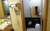Туры в отель Hakone Pax Yoshino