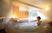 Туры в отель Hakone Pax Yoshino