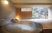 Туры в отель Hakone Pax Yoshino