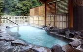 Туры в отель Hakone Pax Yoshino