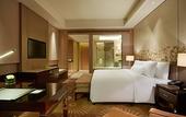 Туры в отель Wanda Realm Ningde