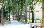 Туры в отель Vongdeuan Resort