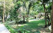 Туры в отель Vongdeuan Resort