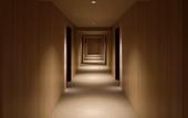 Туры в отель Hotel THE LEBEN OSAKA