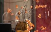 Туры в отель Ruian ruili coastal Hotel