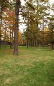 Туры в отель Karuizawa Prince Hotel West